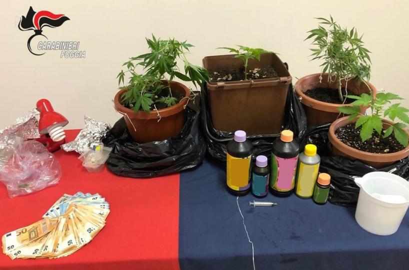 Lucera, arrestato «ladro delle chiese» incastrato dalle telecamere di sorveglianza 