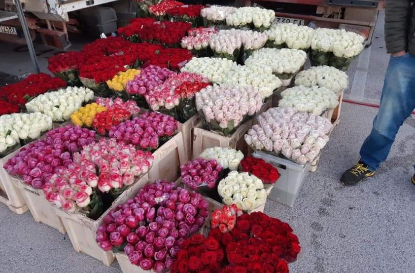 Terlizzi, riapertura col botto del mercato dei fiori, Coldiretti: «A ruba rose rosse»