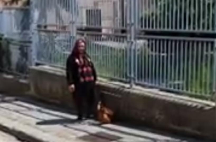 Castellana, e la signora portò a passeggio la gallina