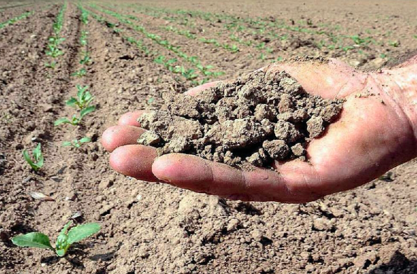 Montalbano Jonico,  la crisi irrigua spinge gli agricoltori in piazza