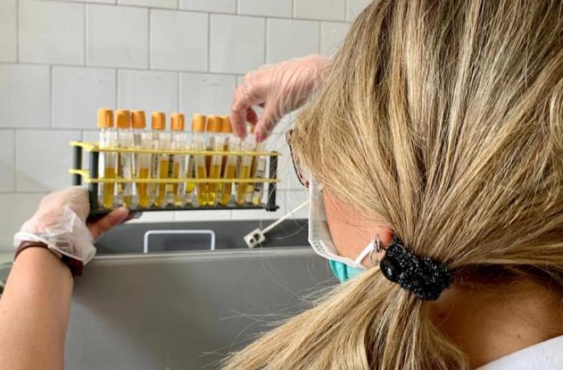 Coronavirus Puglia, entra nel vivo sperimentazione immunoterapia con plasma: convocati primi 9 donatori idonei