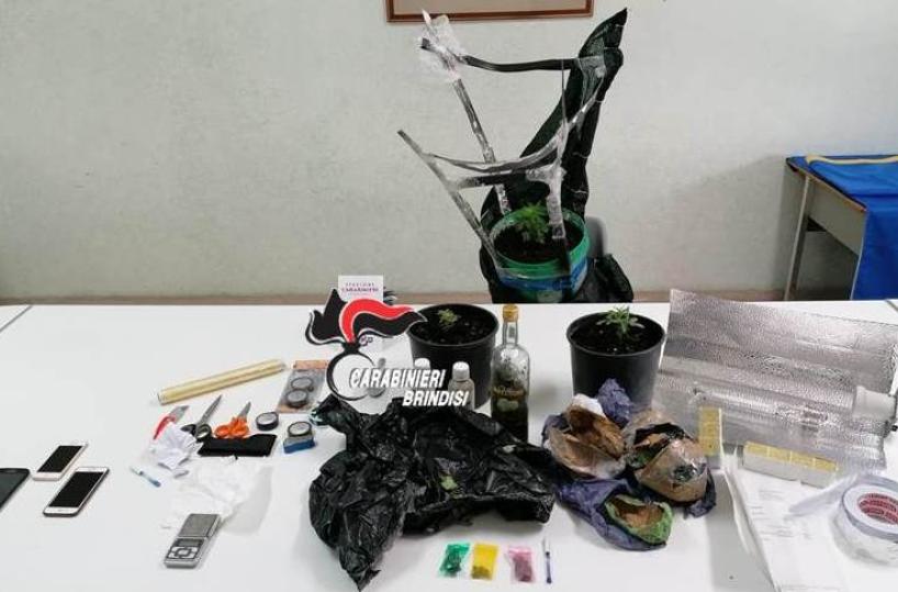 San Pietro Vernotico, nascondevano sul balcone piantine di marijuana e mezzo chilo di «erba»: 2 giovani arrestati 
