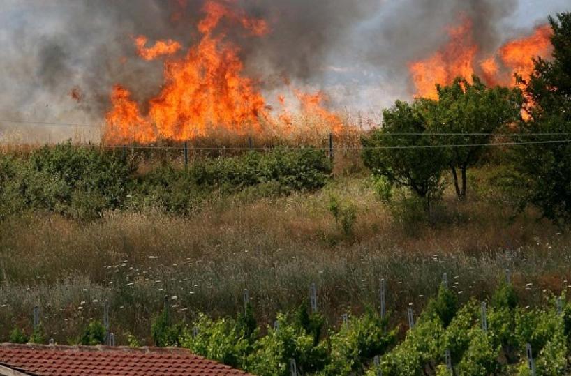 Foggia, va in fumo il grano da raccogliere