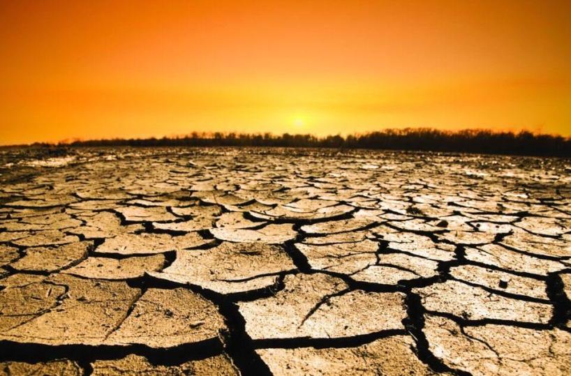 Desertificazione, Puglia e Basilicata considerate zone a rischio