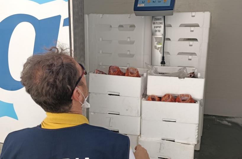 Puglia, operazione Guardia costiera: sequestrate 40 tonnellate pesce, 6 denunce e sanzioni per 124mila euro 