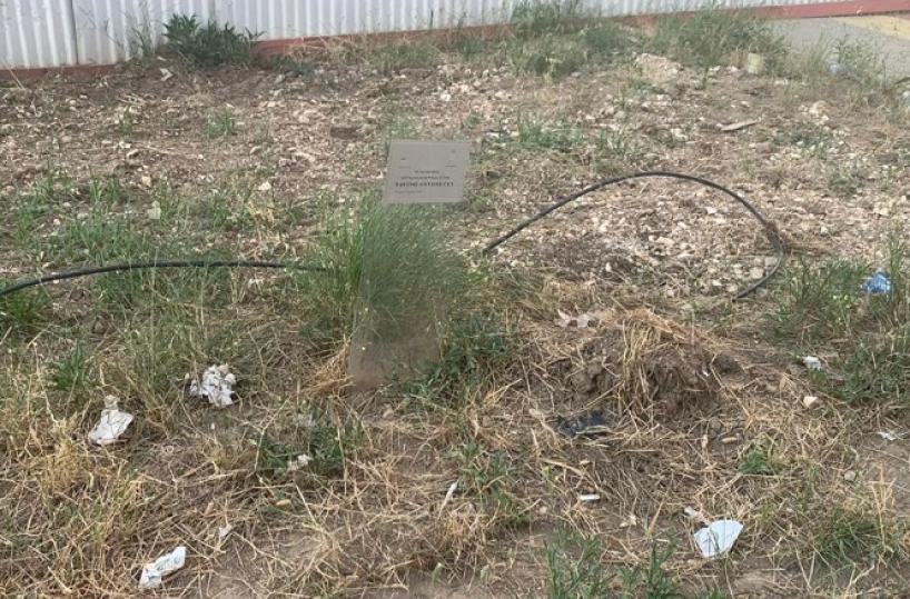 Barletta, le targhe degli eroi Caposselle e Antonucci tra degrado e erbacce