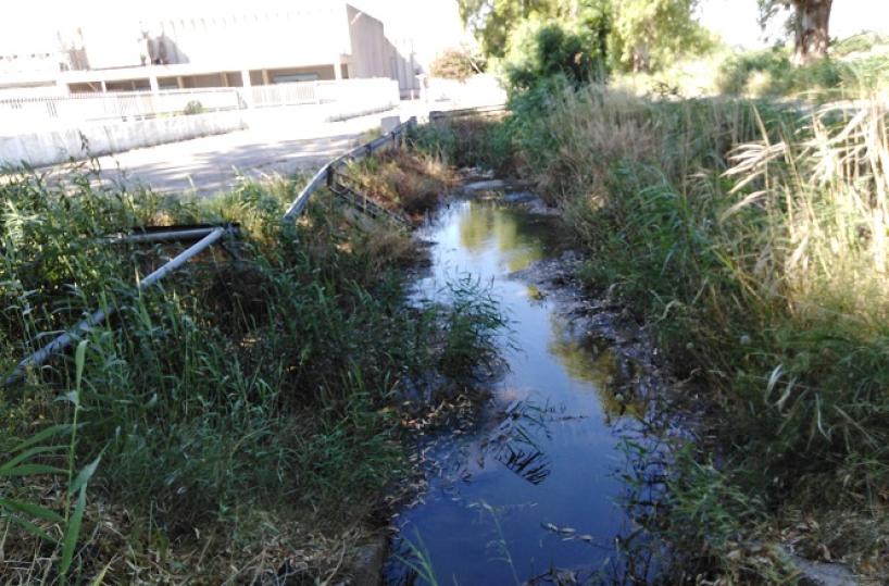 Sos zanzare a Metaponto: impossibile passeggiare