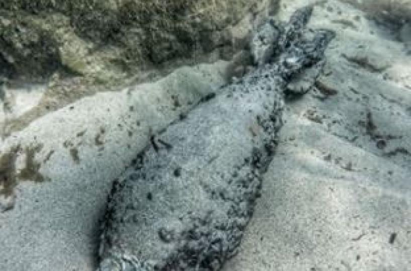Lecce, una bomba della Seconda Guerra Mondiale riemerge dal mare di San Cataldo