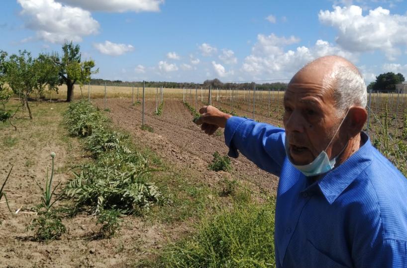 Lecce, furti nelle campagne vertice in Prefettura