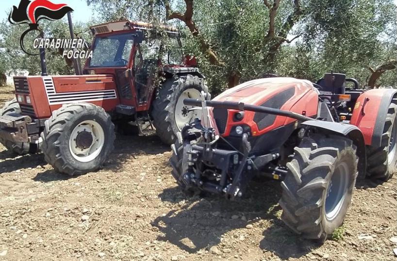 San Severo, rinvenuti trattori rubati nel Molise: erano nascosti tra la vegetazione 