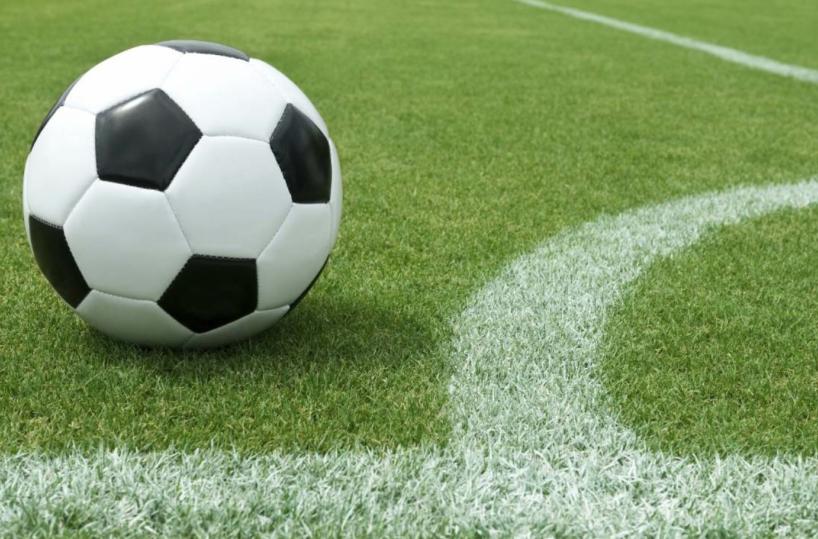 San Nicola: e se a gestirlonon fosse Fc Bari 1908?