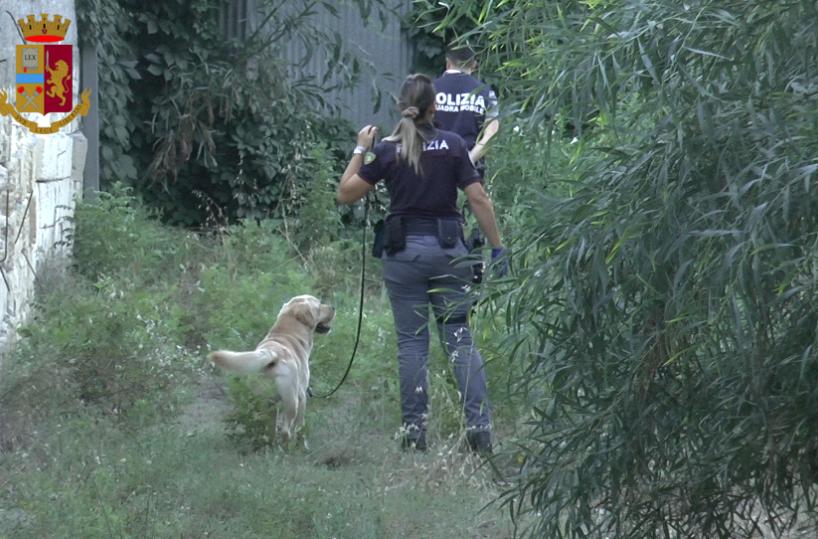Bernalda, operazione «Paride», dopo gli arresti sequestrati soldi e droga