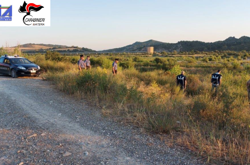 Traffico internazionale droga: scovato e arrestato a Policoro albanese sfuggito al blitz