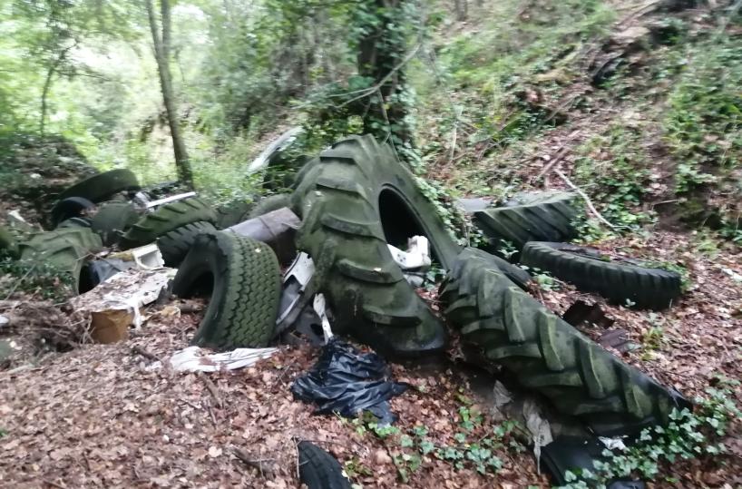 Auto, 200 pneumatici e bare abbandonati nel bosco di Gravina: sequestrati
