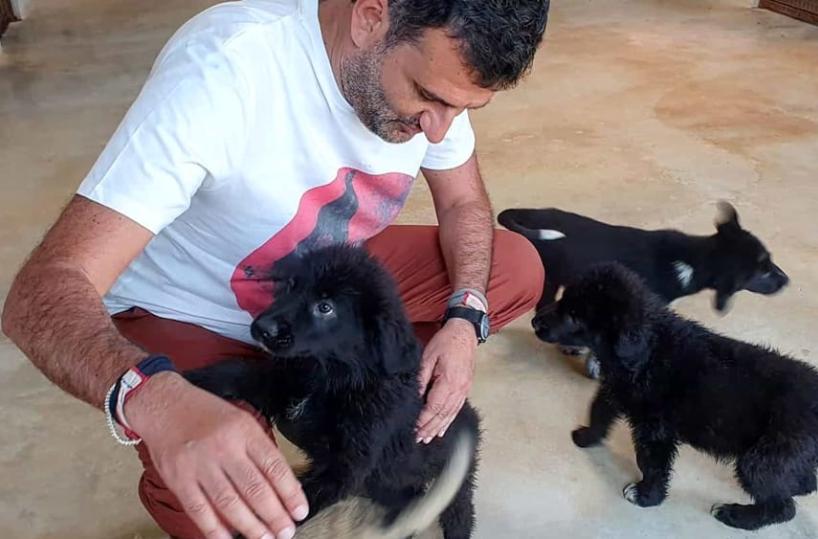 Bari, Decaro con i cuccioli del canile: «Adottate e non abbandonateli»