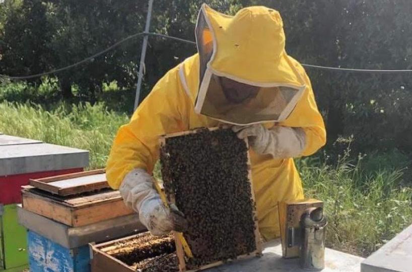 Il miele di Acquaviva sbarca negli Usa