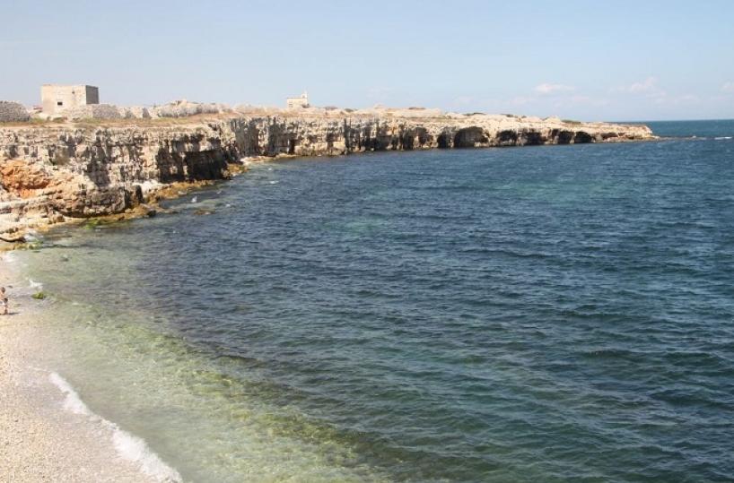 Bisceglie, irrompe l'alga tossica in zona Ripalta e scatta il divieto di balneazione