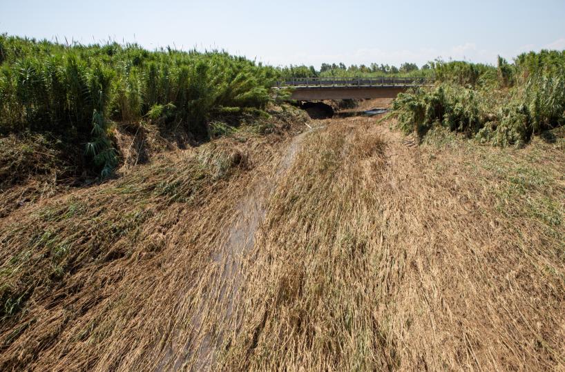 Puglia: 175 progetti dal 2015 contro dissesto idrogeologico. Emiliano: «Al via cabina di regia»