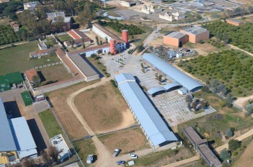 Puglia, la guerra degli studios: Afc attacca i suoi ex manager