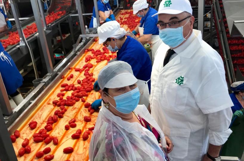 Ministro Bellanova visita masserie e aziende tra Brindisi e Taranto: «Non associare caporalato a raccolta pomodori»
