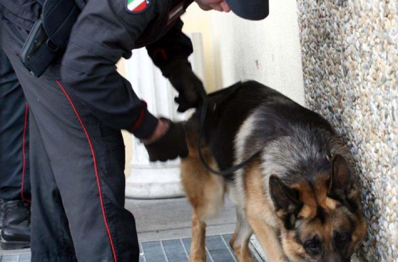 Scomparse nel Barese 6.370 persone
