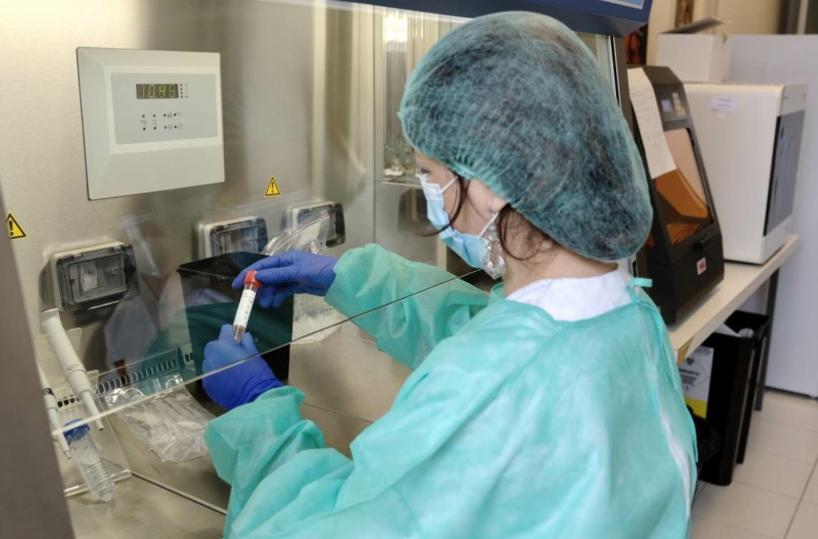 Puglia, regione fa richiamo a laboratori privati sui tamponi: «Dati devono essere forniti ogni giorno»