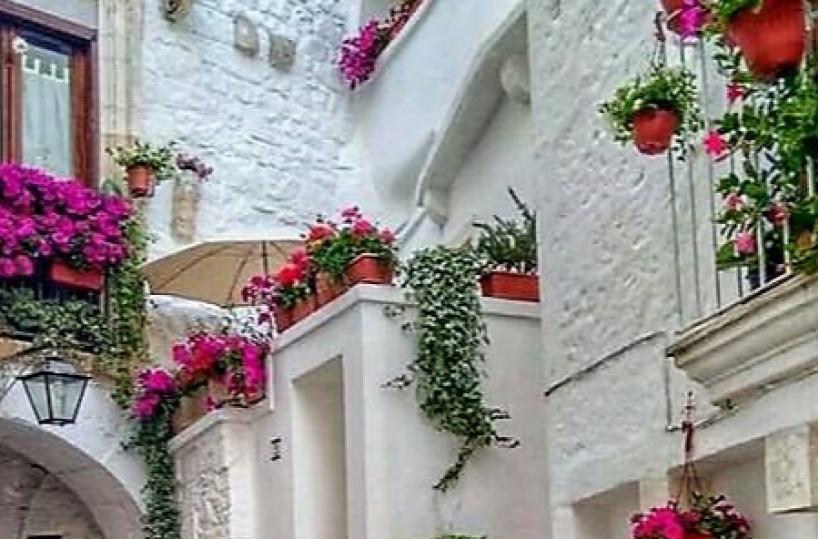 Cisternino, oggi e domani la Notte Verde della gastronomia