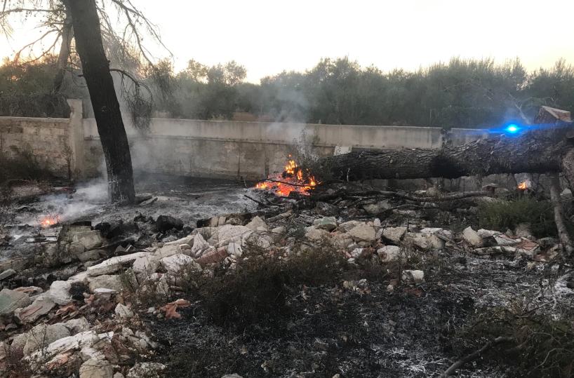 Maxi incendio nelle campagne di Terlizzi: in fiamme rifiuti, pneumatici e sterpaglie 
