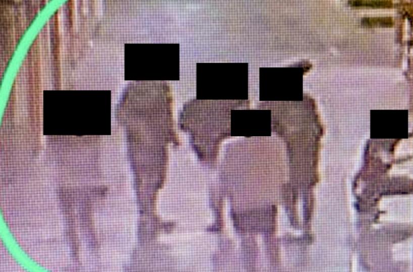 Potenza, notte di schiamazzi e... vernice