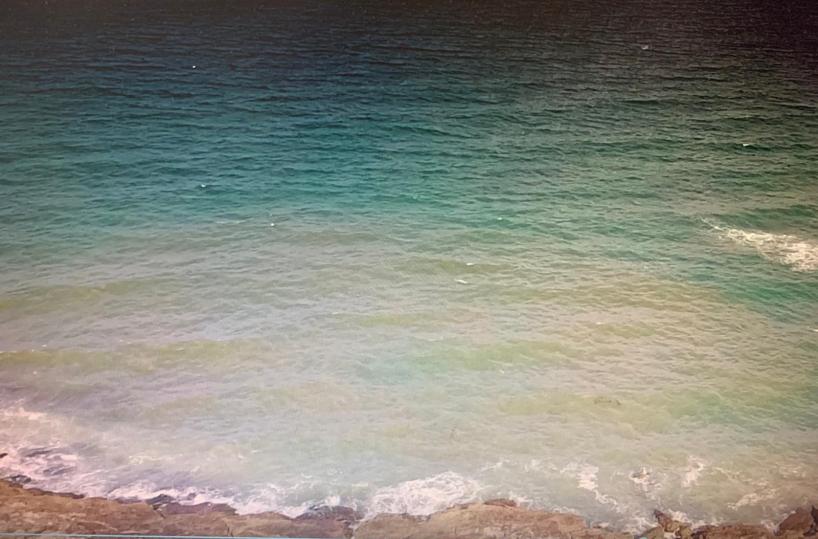 Gallipoli, «Quelle macchie giallo-marroni deturpano il mare»: Confindustria Lecce sollecita le istituzioni  