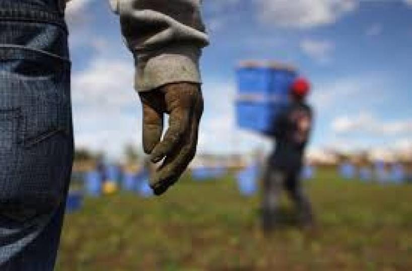 Foggia, migranti regolarizzati: mezzo flop