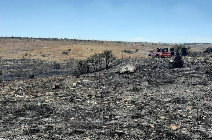 Corato, 20 ettari in fumo nel parco della Murgia