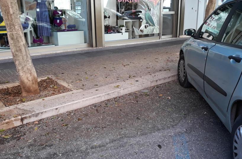 Lecce, «Assediati dagli uccelli fra disagi e cattivi odori serve garantire l’igiene» 