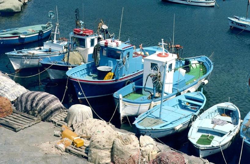 Molfetta, l'ira dei pescatori: no al fermo biologico