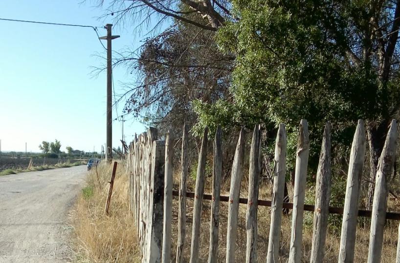 Foggia, «Distrutta la pineta del santuario anni di incuria, ora è pericolosa»