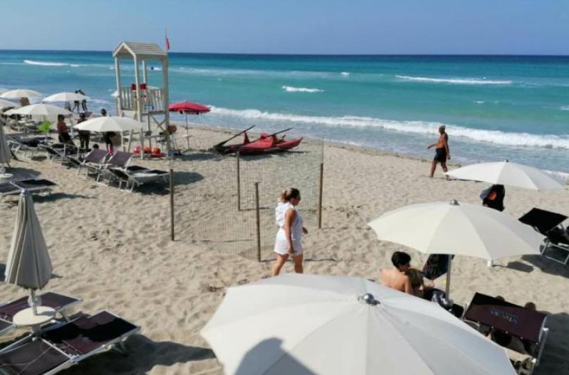Ugento, 50 tartarughine nate tra gli ombrelloni di un resort extra-lusso
