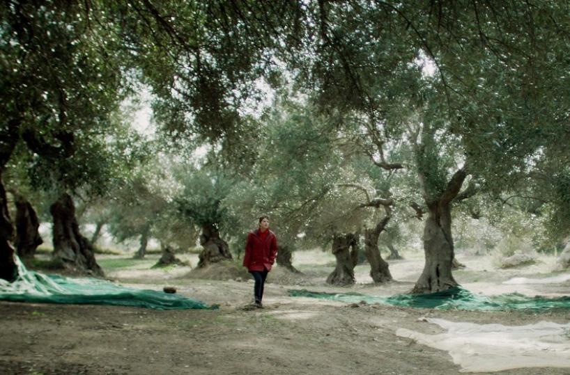 Semina il vento : lotta e rinascita ai piedi dell’Ilva