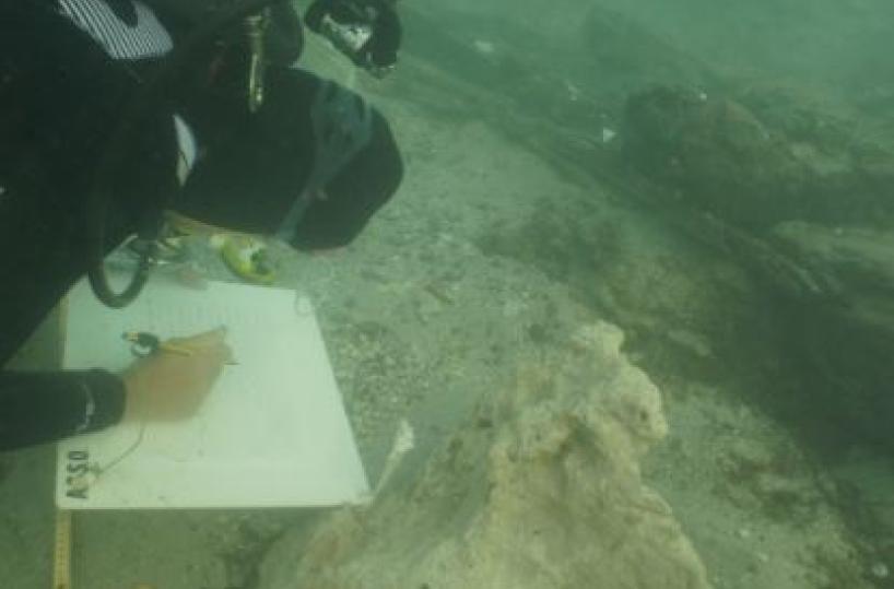 Archeologia, 3 Università pugliesi insieme per scavi subacquei