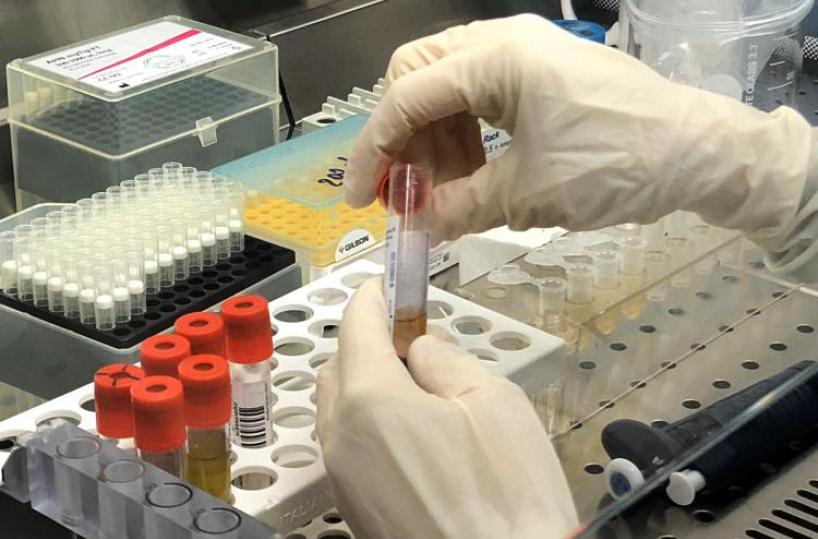 Coronavirus, in Puglia 90 nuovi casi e 2 decessi su 1456 tamponi. 22 casi nella Bat dopo una gita in pullman
