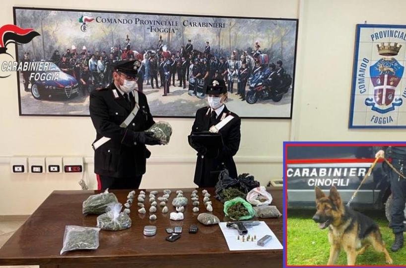 Foggia, padre e figlio incastrati dal fiuto di cane antidroga: scoperte  2500 dolsi marijuana 