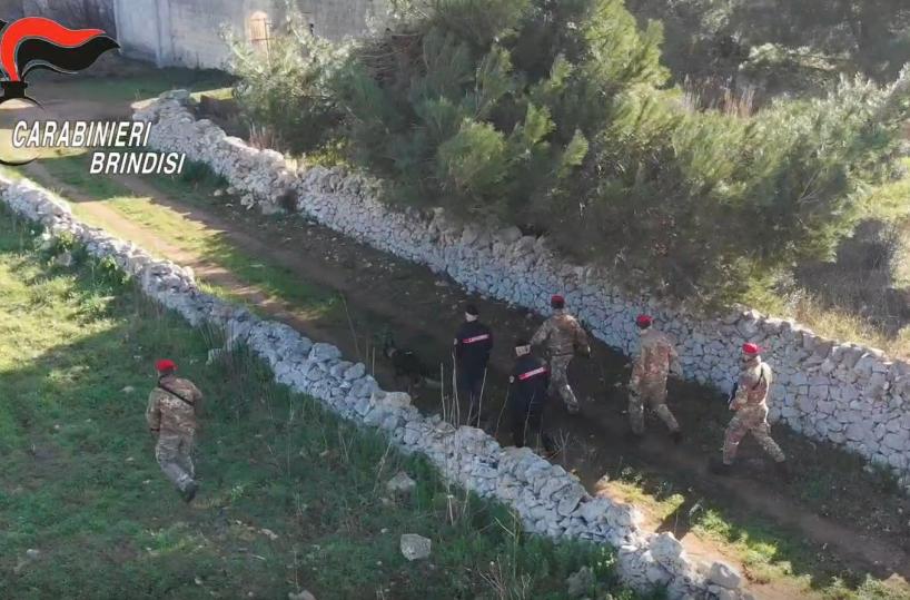 Francavilla Fontana: droga, armi ed esplosivi, 11 misure cautelari