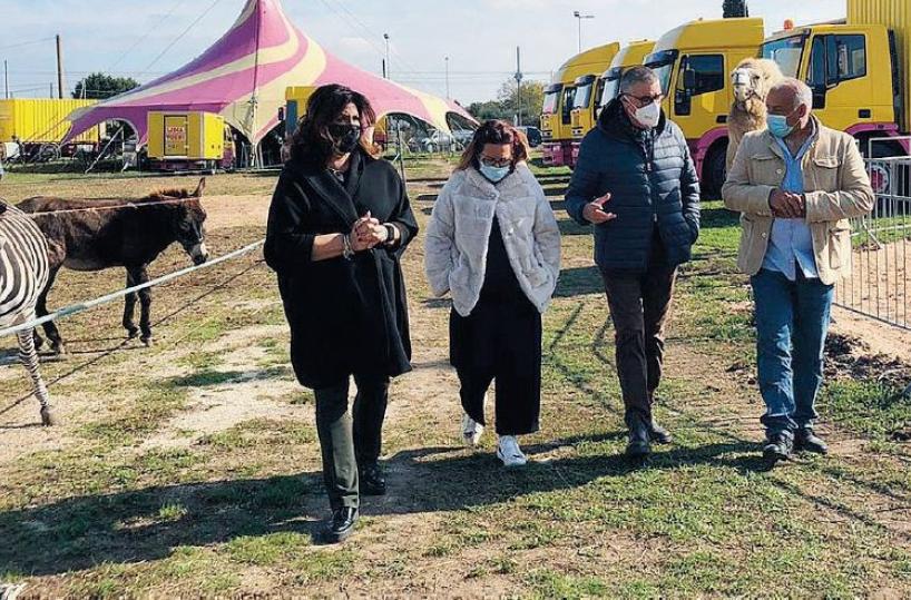 Gioia del Colle, gara di solidarietà per salvare circo ingabbiato da mini lockdown