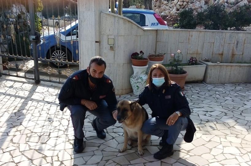 Monopoli, polizia salva pastore tedesco dalla strada e 3 cuccioli abbandonati tra i rifiuti