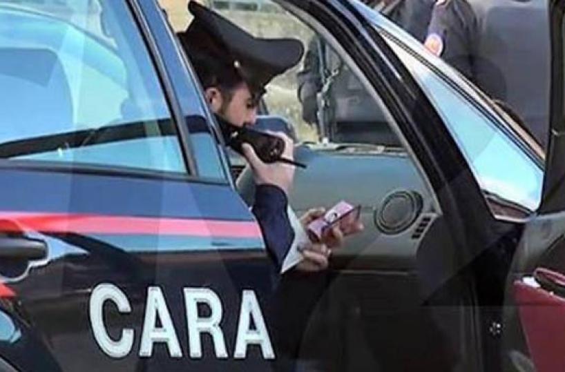 Castella, fucile munizioni e cani di razza senza microchip: arrestato 74enne