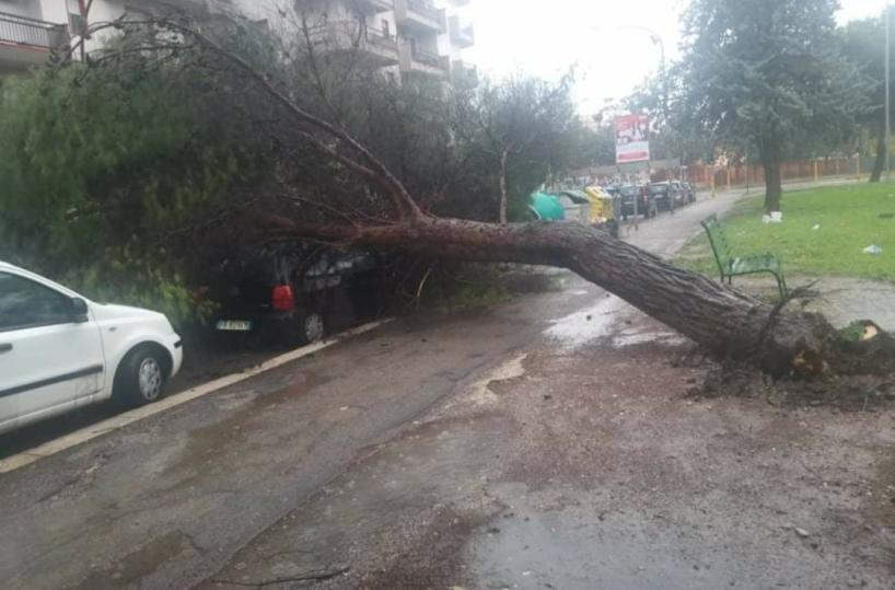Foggia flagellata dal maltempo: caduti alberi, transenne, cartelloni pubblicitari