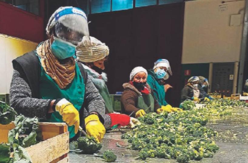 Stornara, da vittime di tratta 8 donne trovano riscatto e vengono assunte in fabbrica