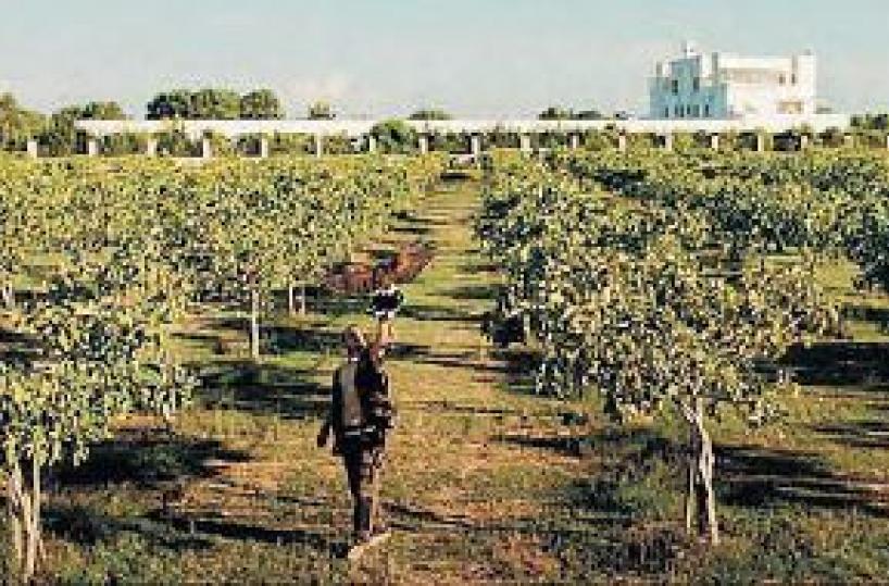 Lecce,  «Furnirussi» fra i top 100 nella classifica di Forbes Italia