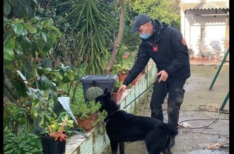 Scanzano Jonico, nasconde la droga nel detersivo per la lavatrice: arrestato