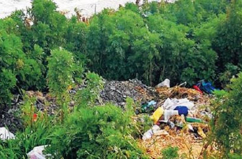 Trani, l’area del vecchio mattatoio trasformata in discarica a cielo aperto
