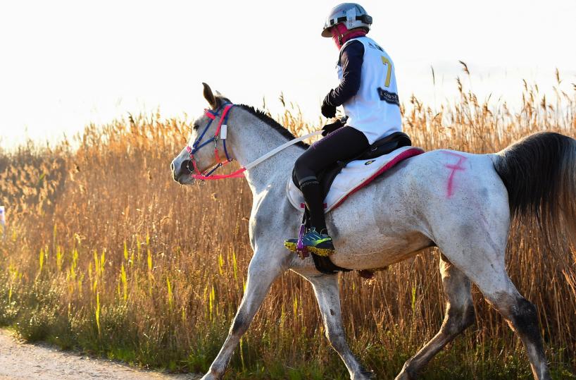 Il Gotha dell’endurance mondiale tra le dune di Castellaneta Marina